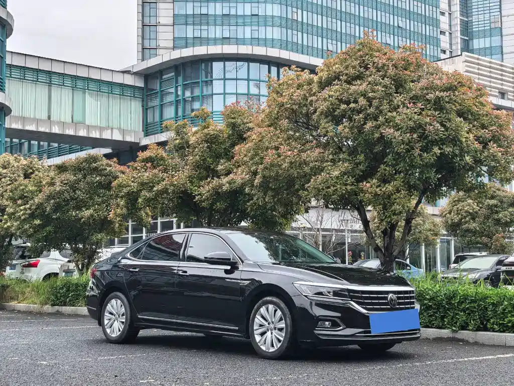 Passat 2019 330TSI Elite Edition National VI купить на сайте DeffCars