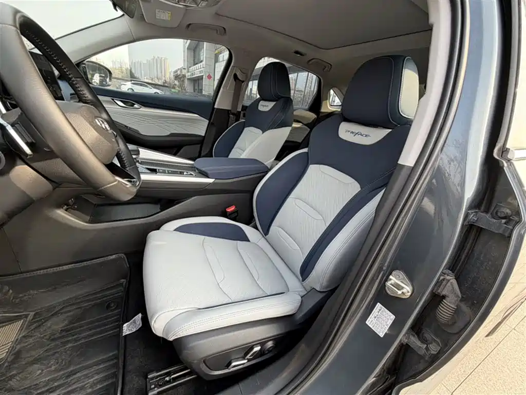 Xingrui 2021 facelift 2.0TD premium model купить на сайте DeffCars
