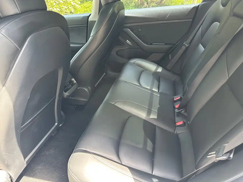 Model 3 2020 Standard Range Rear Drive Upgraded Version купить на сайте DeffCars