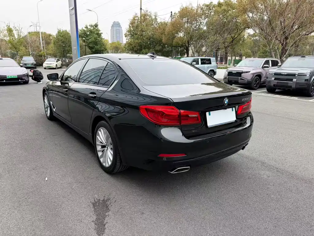 BMW 5 Series 2019 530Li Exclusive Luxury Package купить на сайте DeffCars