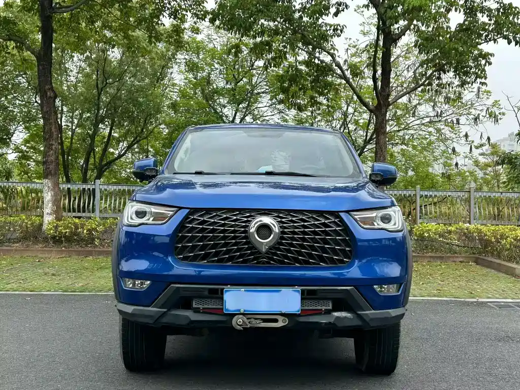 Cannon 2020 2.0T off-road version automatic diesel four-wheel drive limited edition trailer version GW4D20M купить на сайте DeffCars