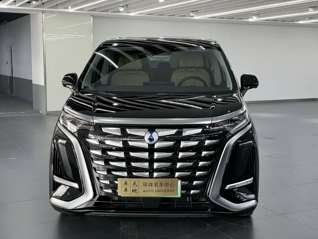 Denza D9 2024 DM-i 1050 Exclusive Type купить на сайте DeffCars