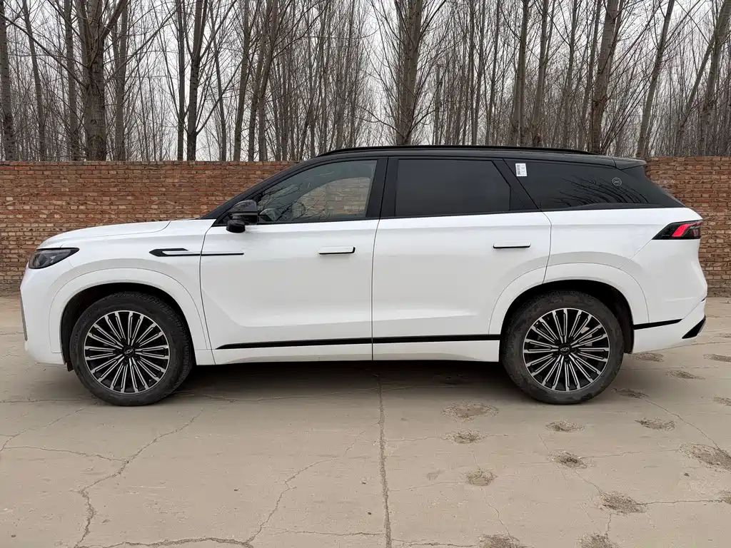 Tiggo 9 2025 2.0T automatic two-wheel drive exclusive version 5 seats купить на сайте DeffCars