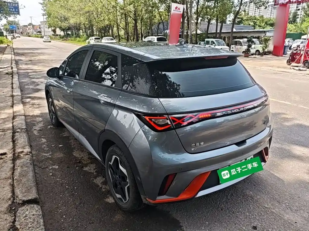 Dolphin 2021 405km fashion version купить на сайте DeffCars