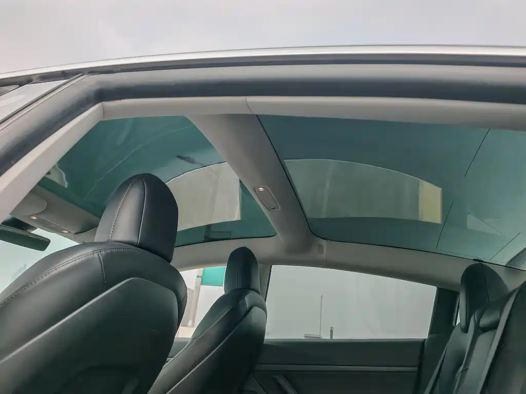 Model 3 2020 Standard Range Rear Drive Upgraded Version купить на сайте DeffCars