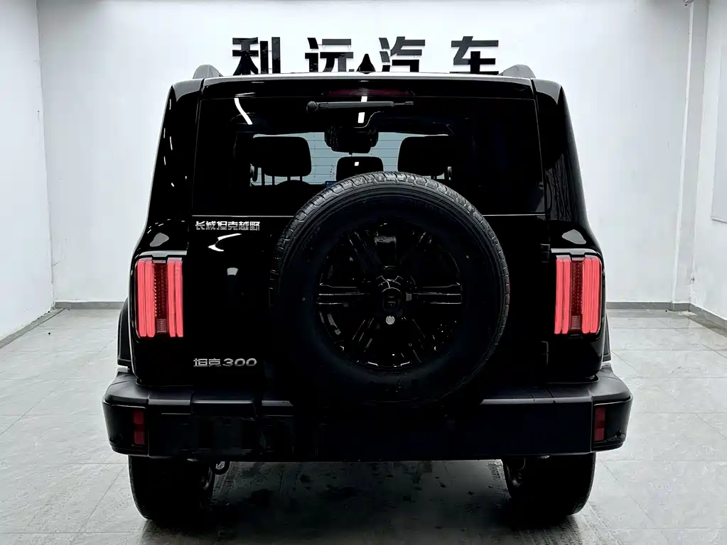 Tank 300 2025 2.0T Gasoline Conqueror купить на сайте DeffCars