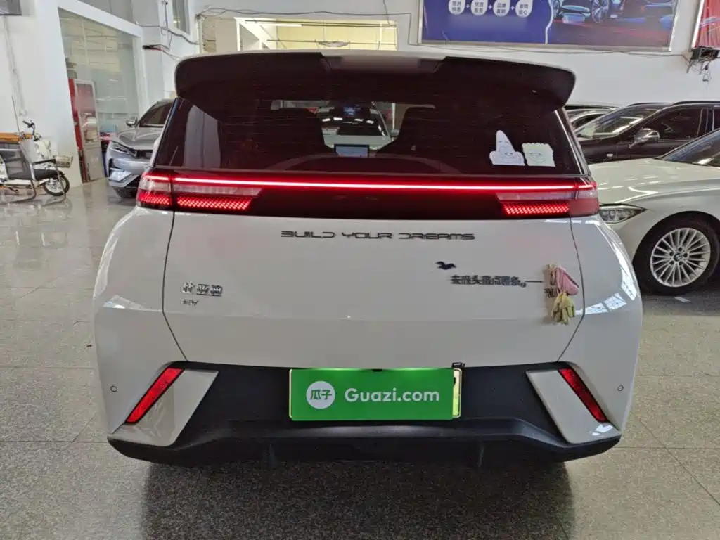 Seagull 2024 Honor Edition 305km Vitality купить на сайте DeffCars