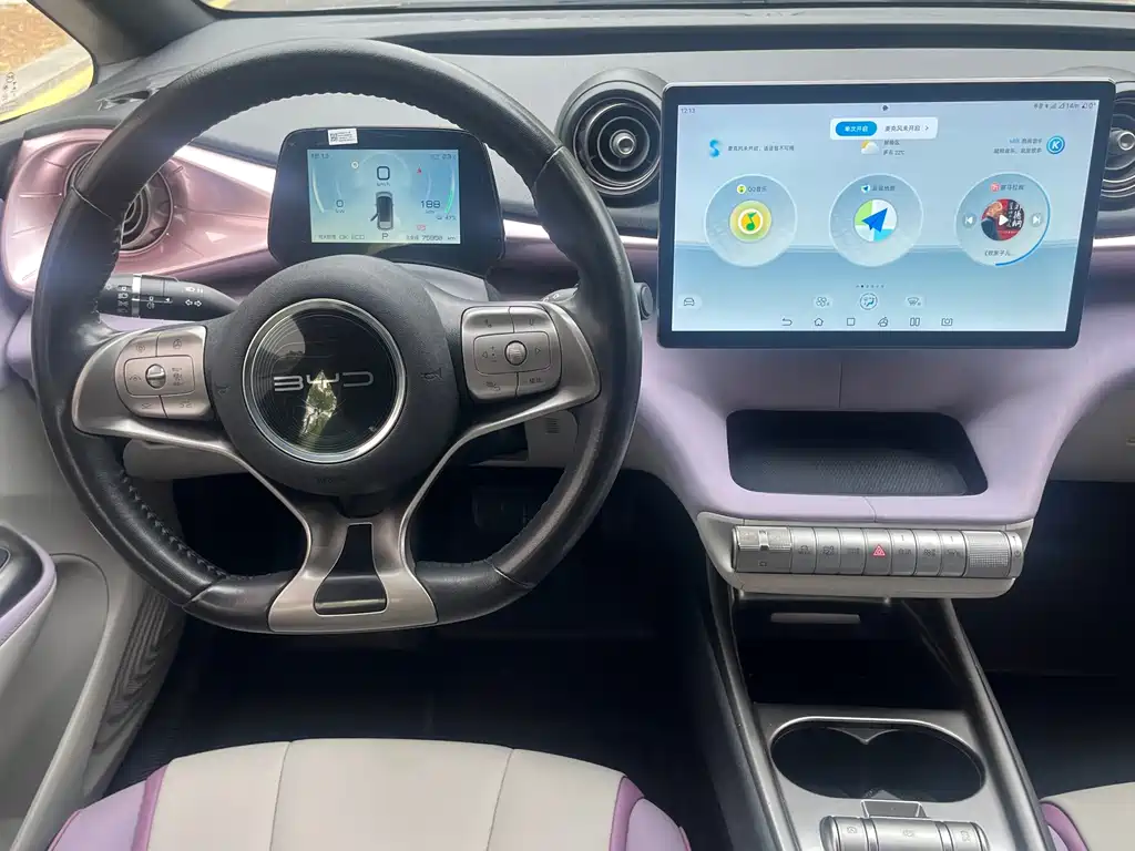 Dolphin 2021 401km Rider Edition купить на сайте DeffCars