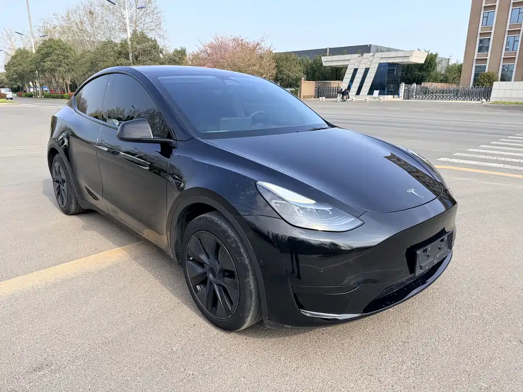 Model Y 2023 rear-wheel drive version купить на сайте DeffCars