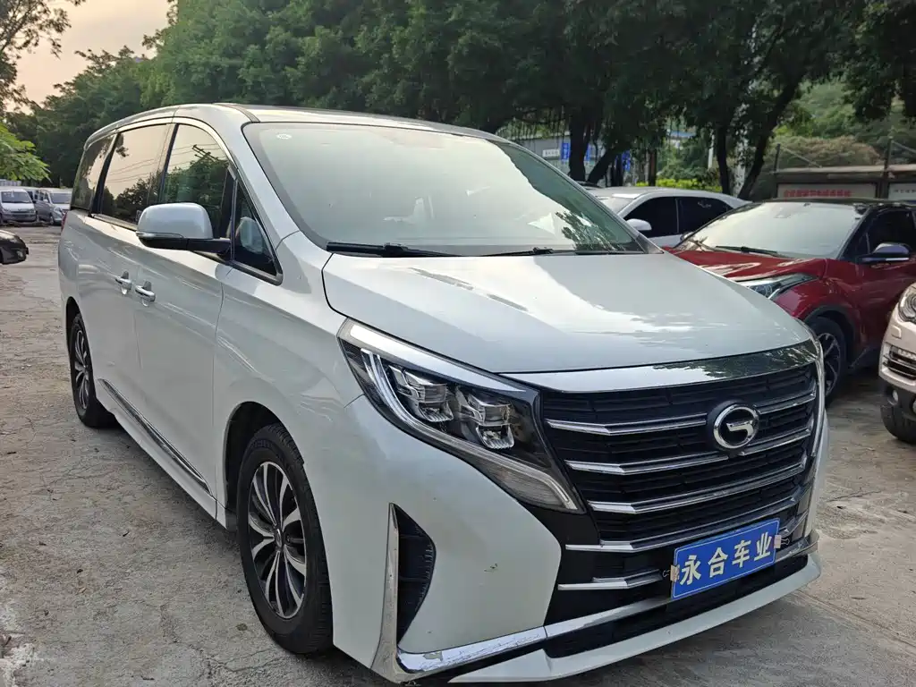 Trumpchi M8 2023 Lead Show Series 390T Exclusive Edition купить на сайте DeffCars