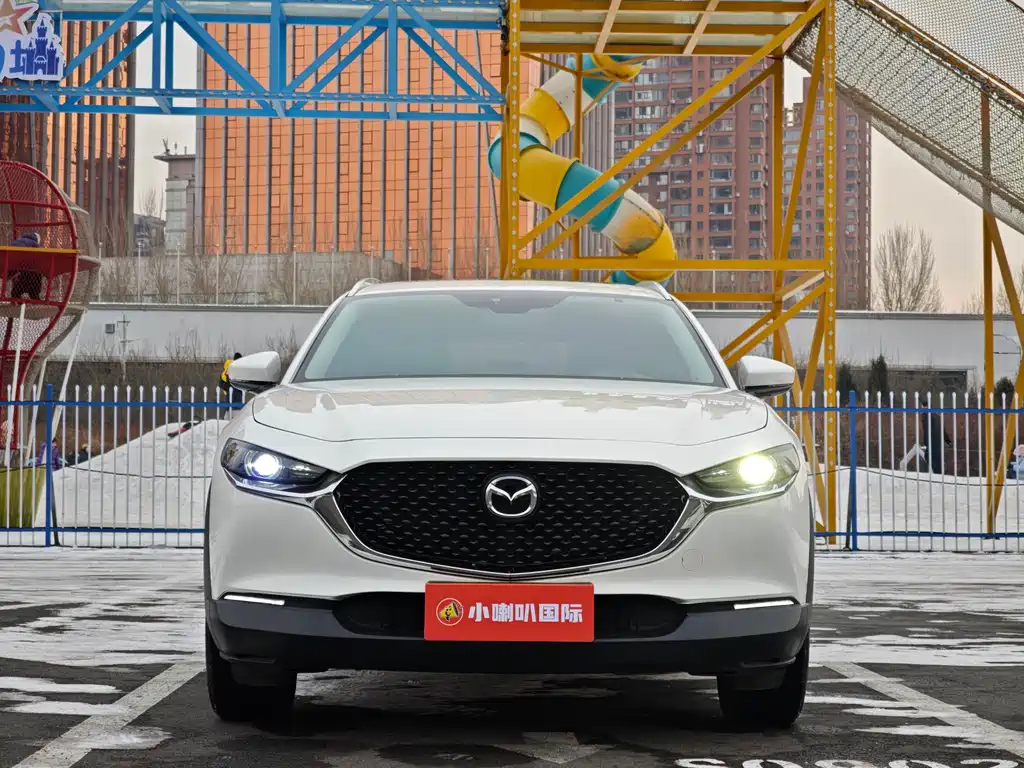 Mazda CX-30 2021 2.0L automatic Jiayue type купить на сайте DeffCars