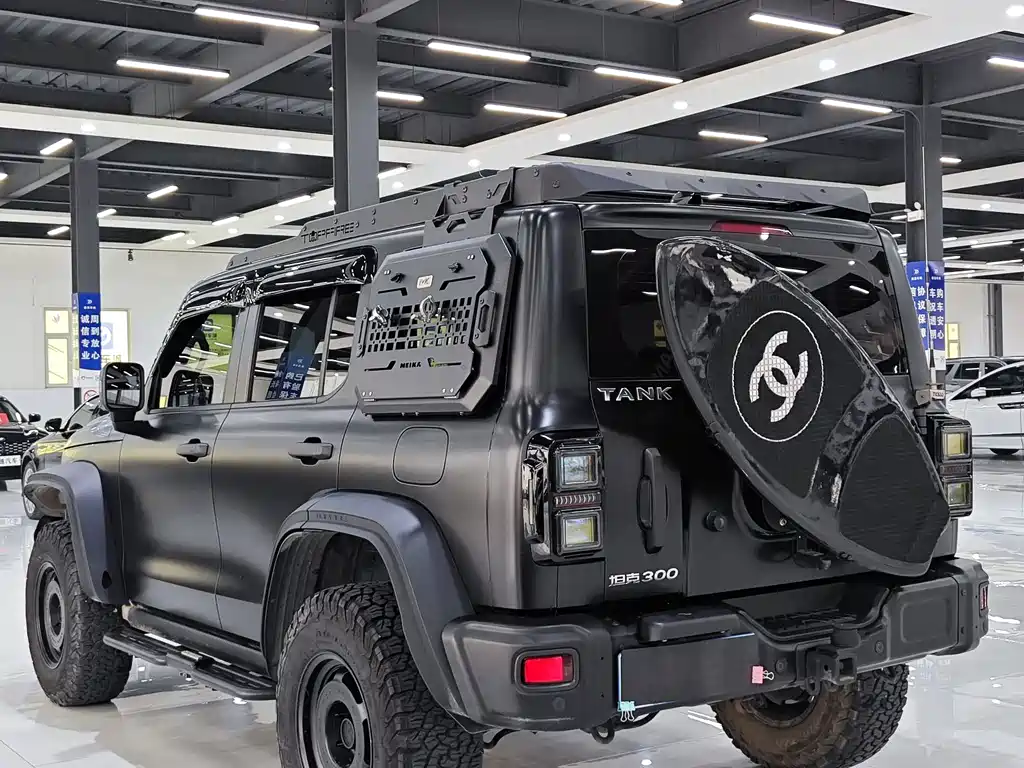 Tank 300 2023 2.0T Iron Cavalry 02 купить на сайте DeffCars