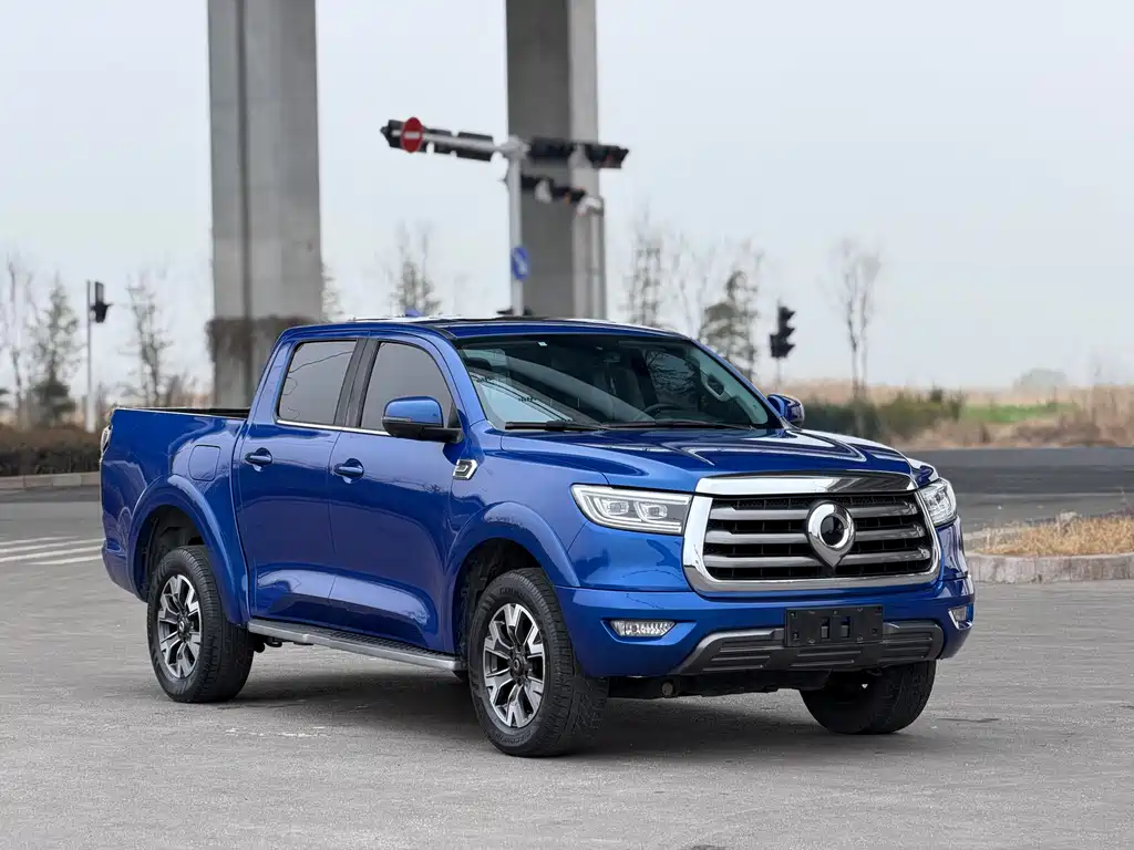 Cannon 2021 2.0T Passenger Global Version Automatic Diesel Two-wheel Drive Comfort Standard Box GW4D20M купить на сайте DeffCars