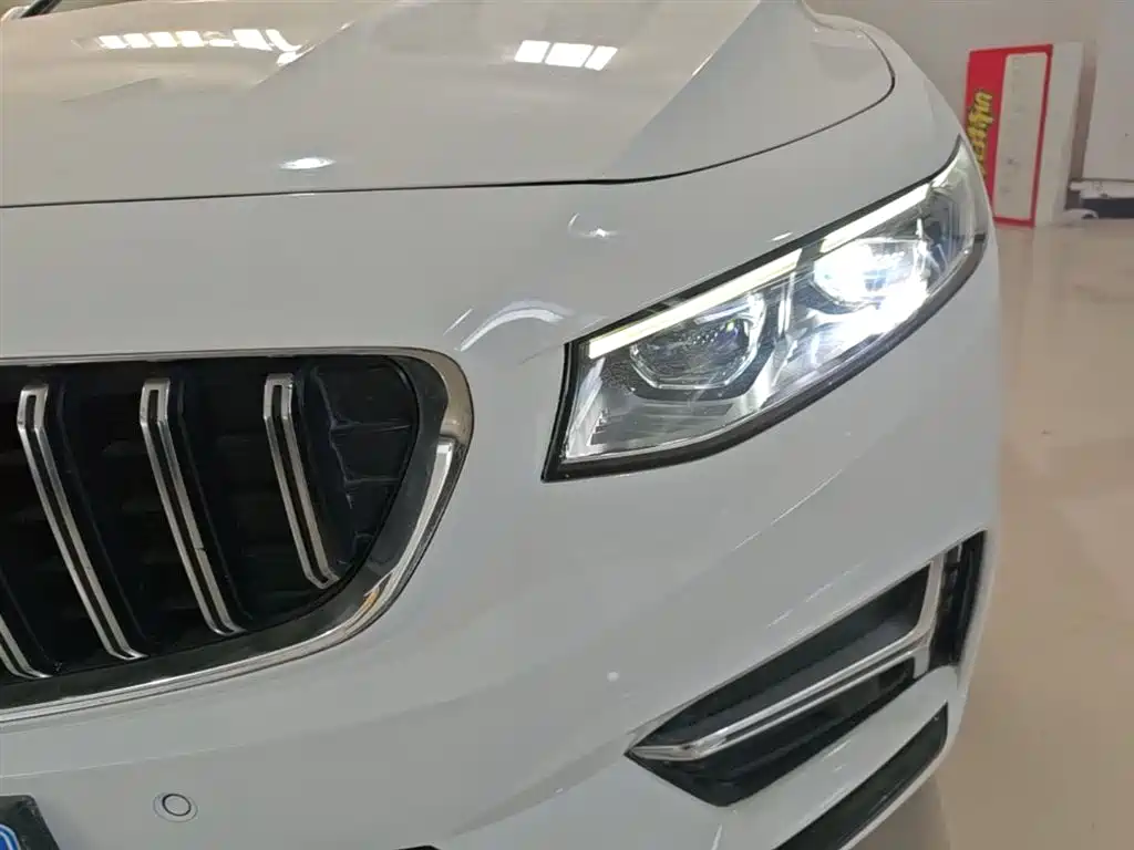 Xingrui 2023 2.0TD Premium Model купить на сайте DeffCars