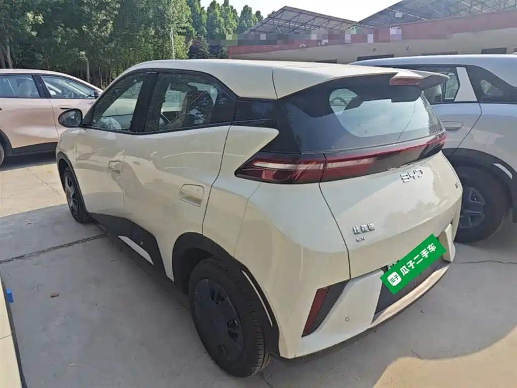 Seagull 2025 305km active version купить на сайте DeffCars