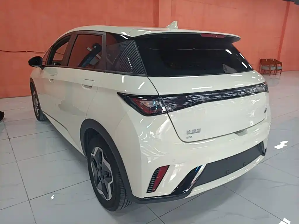 Dolphin 2021 405km Fashion Edition купить на сайте DeffCars