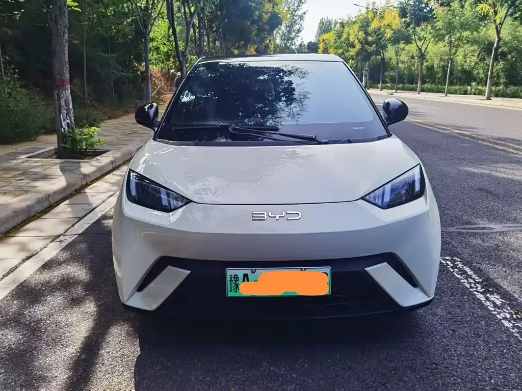 Seagull 2025 Smart Driving Edition 305km Vitality Edition купить на сайте DeffCars