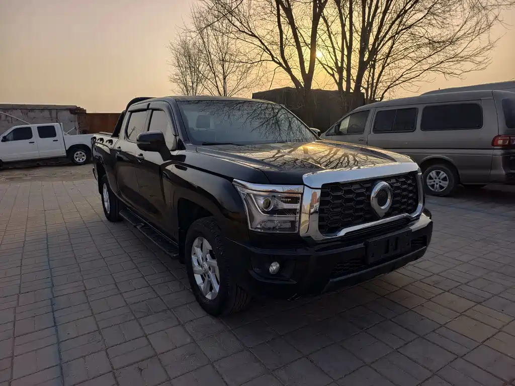 King Kong Cannon 2022 2.0T manual gasoline two-wheel drive pilot type long box GW4C20B купить на сайте DeffCars