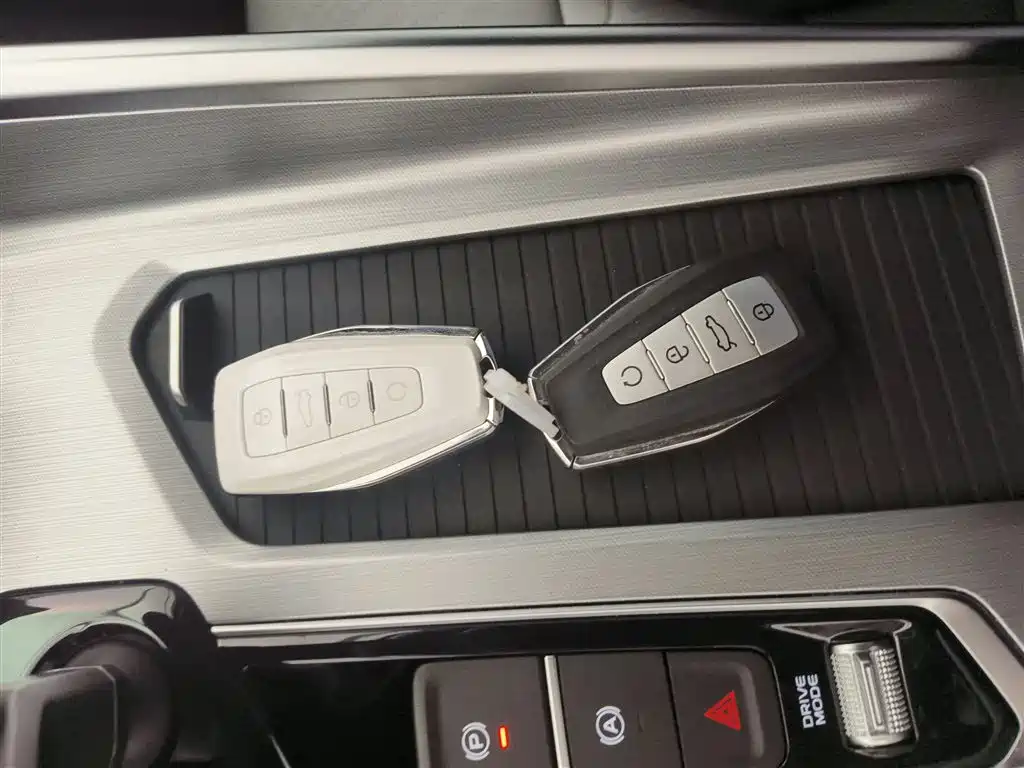 Xingrui 2023 2.0TD Premium Model купить на сайте DeffCars
