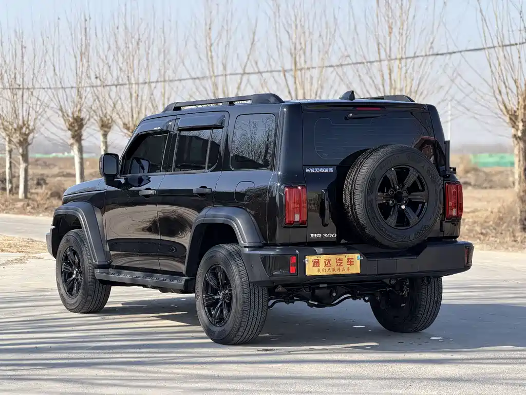 Tank 300 2025 2.0T Gasoline Conqueror купить на сайте DeffCars