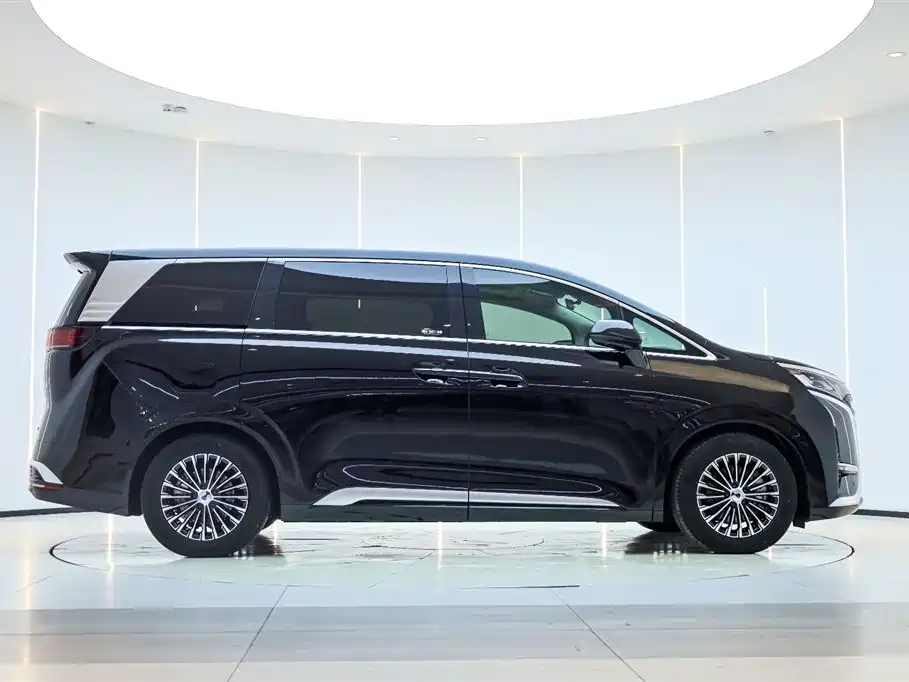 Denza D9 2024 DM-i 1050 Exclusive Type купить на сайте DeffCars