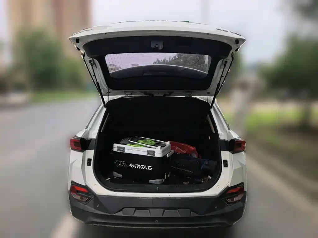 Pentium T77 2019 230 TID automatic luxury model National VI купить на сайте DeffCars
