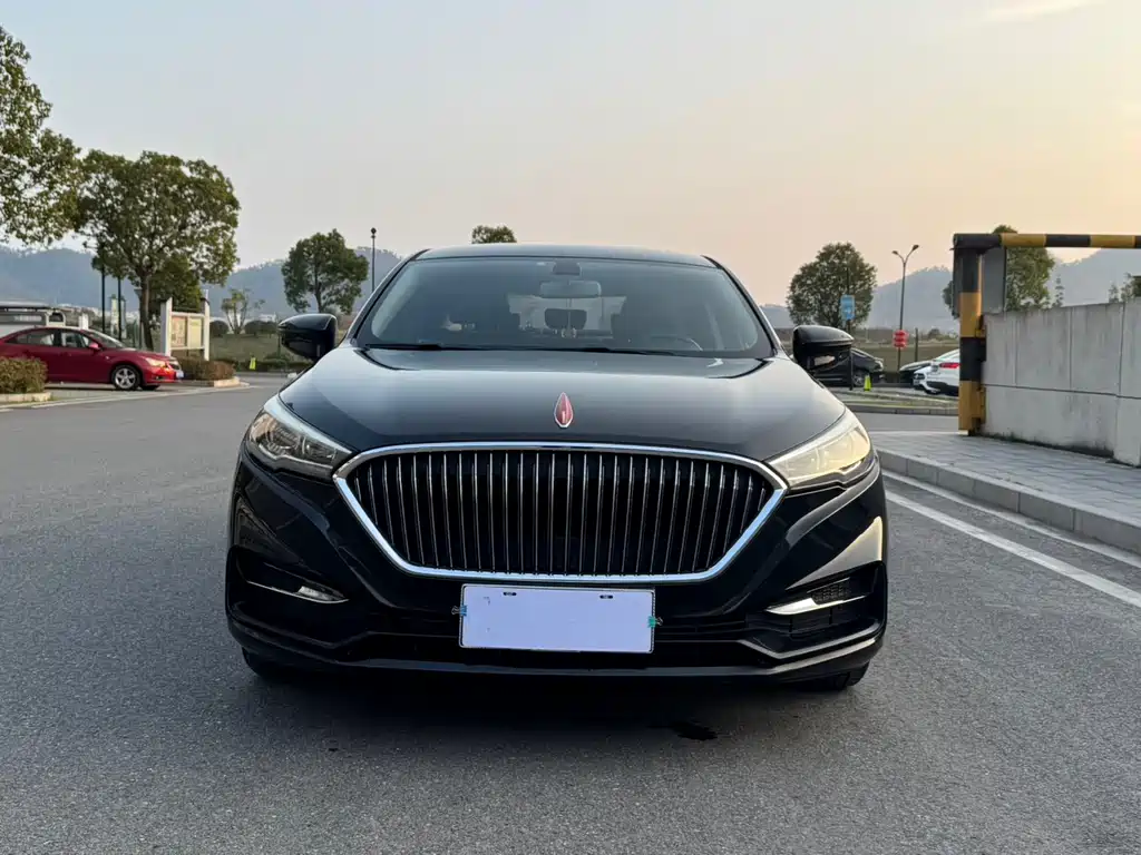 Hongqi H5 2019 30TD dynamic version купить на сайте DeffCars