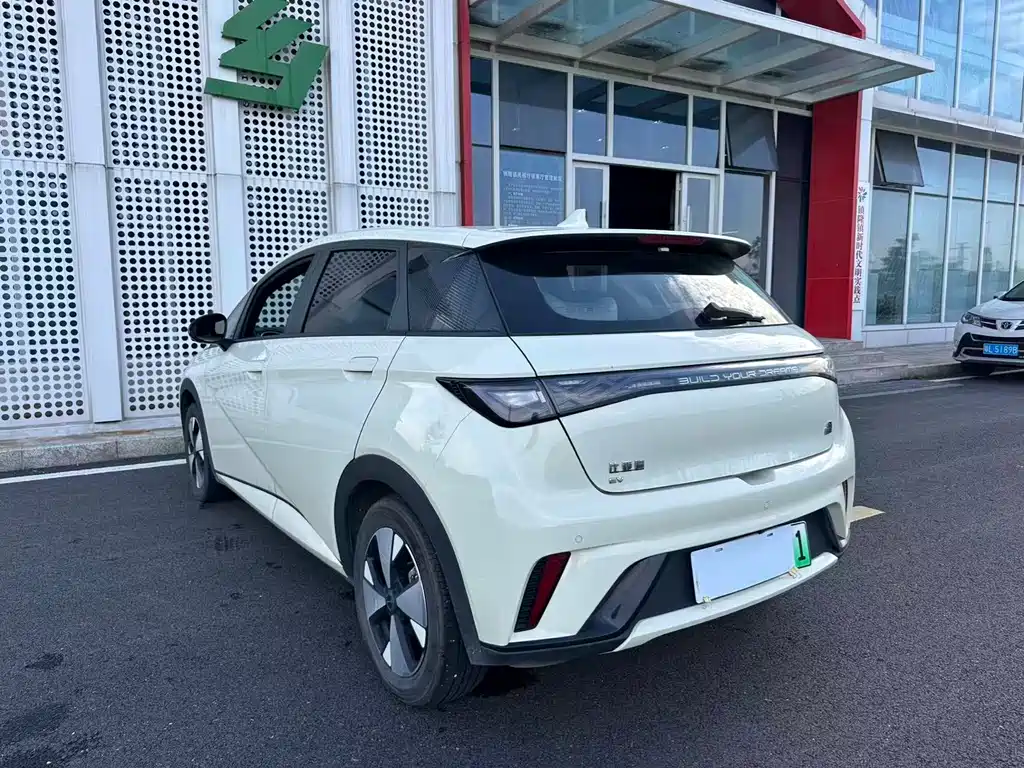Dolphin 2023 420km Fashion Edition купить на сайте DeffCars