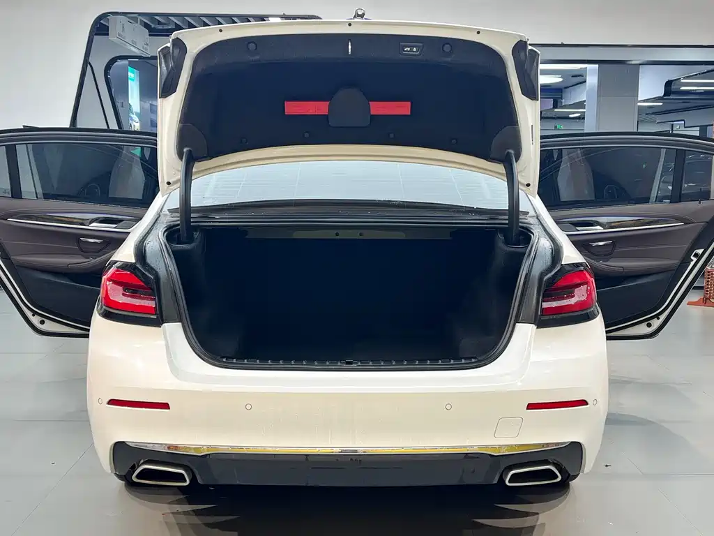 BMW 5 Series 2021 530Li Exclusive Luxury Package купить на сайте DeffCars