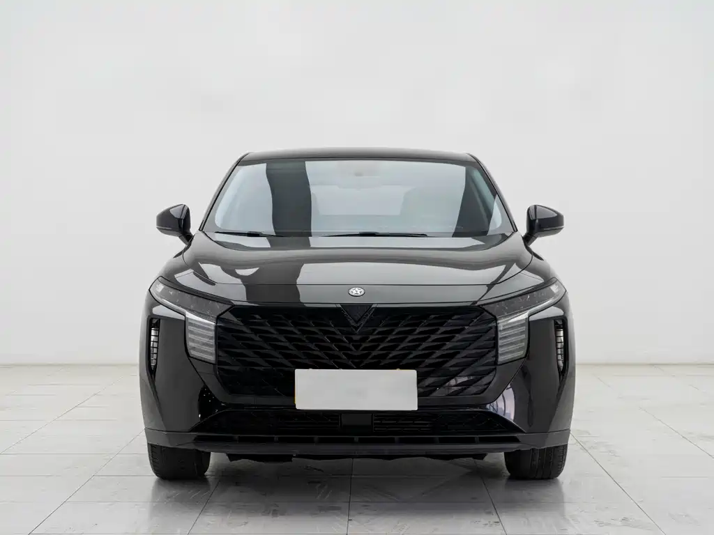 Venucia Big V 2022 260T Dark Horse Edition·Idol купить на сайте DeffCars