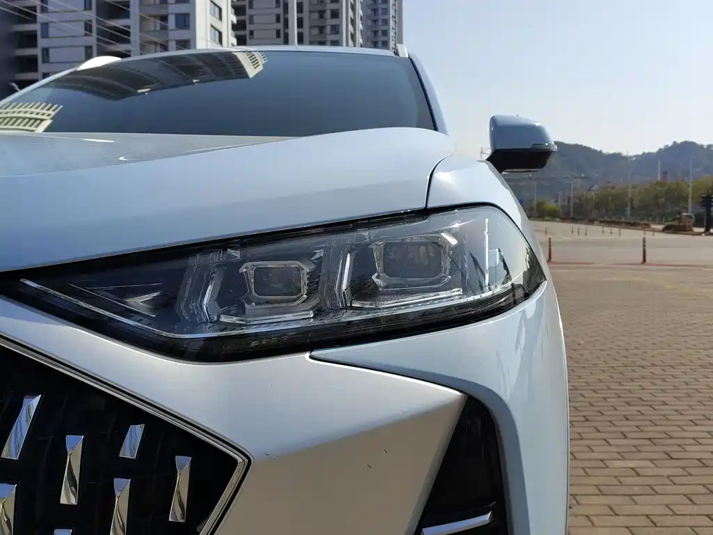 Wei brand Mocha 2021 2.0T two-wheel drive special version купить на сайте DeffCars