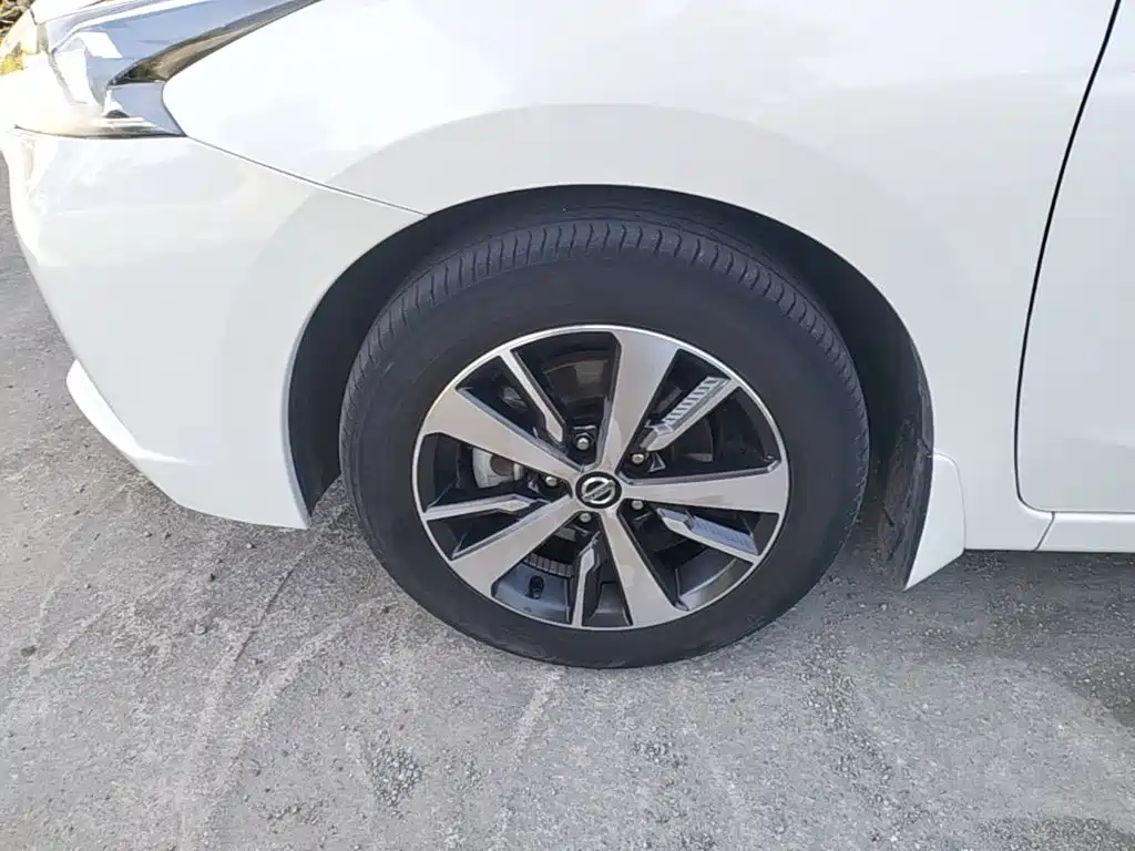 Bluebird 2019 1.6L CVT Cool Edition National VI купить на сайте DeffCars