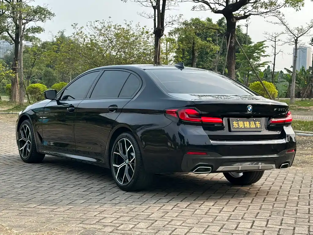 BMW 5 Series 2021 530Li Leading M Sports Package купить на сайте DeffCars