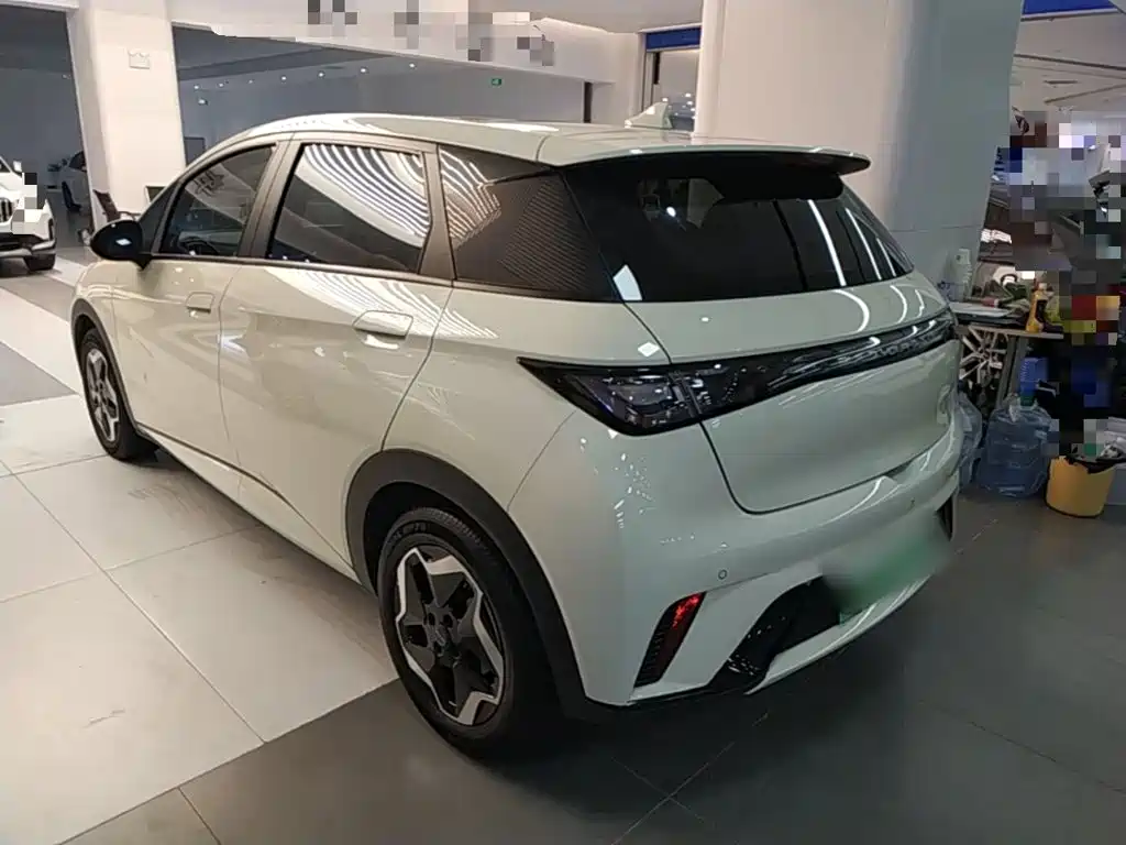 Dolphin 2021 405km Fashion Edition купить на сайте DeffCars