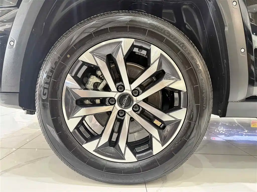 Haval Big Dog PLUS 2023 2.0T two-wheel drive trendy version Plus купить на сайте DeffCars