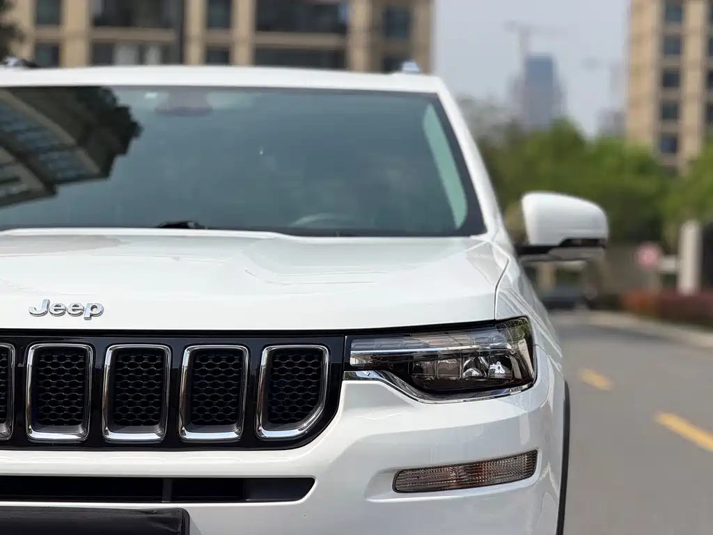 Commander 2018 2.0T four-wheel drive exclusive navigation version National V купить на сайте DeffCars