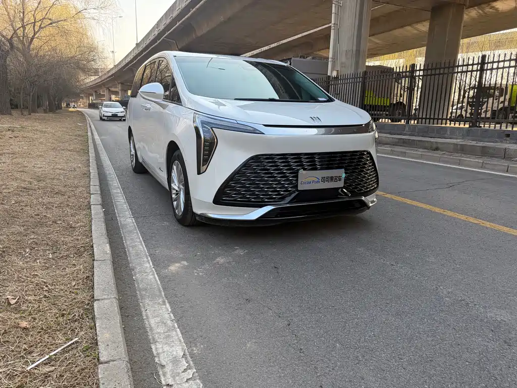 Century 2023 2.0T Six-seater Yuanshi Edition купить на сайте DeffCars