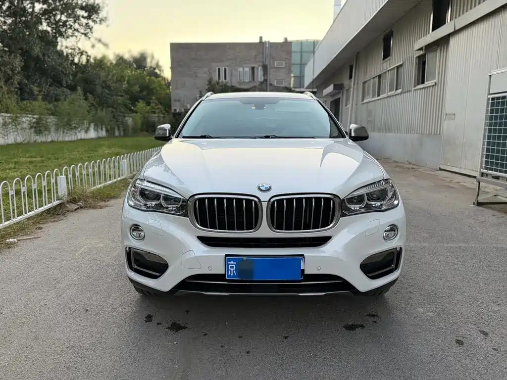 BMW X6 2019 xDrive28i M Sports Package купить на сайте DeffCars