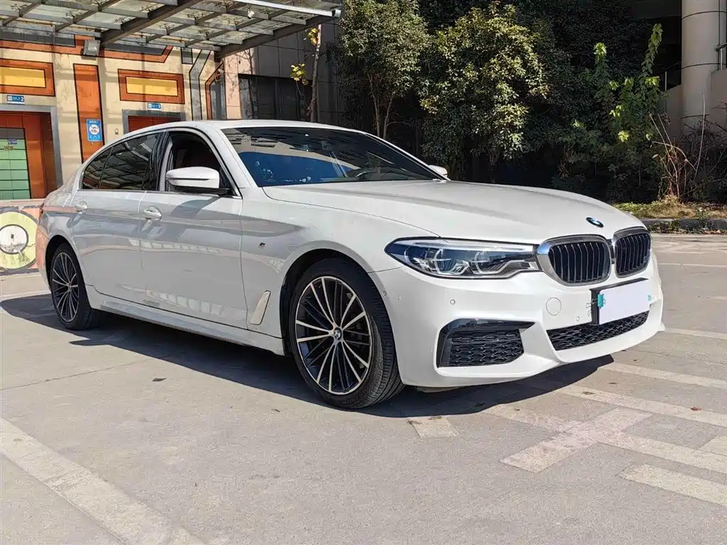BMW 5 Series 2020 530Li Leading M Sports Package купить на сайте DeffCars
