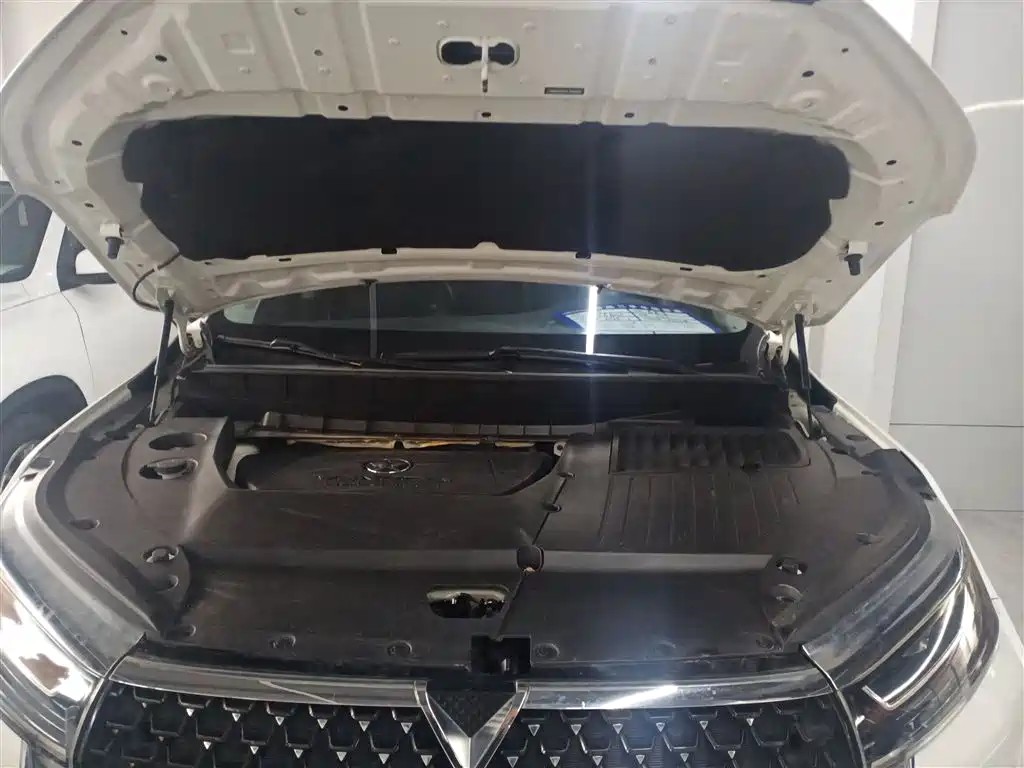 Venucia 2020 260T automatic 48V mild hybrid supercharged Star Edition купить на сайте DeffCars