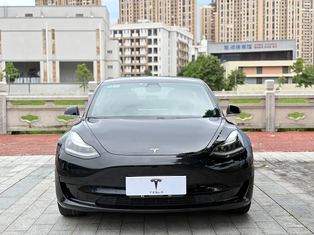 Model 3 imported 2019 standard range rear drive upgraded version купить на сайте DeffCars