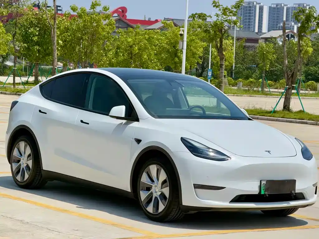 Model Y 2021 standard range rear-wheel drive version купить на сайте DeffCars
