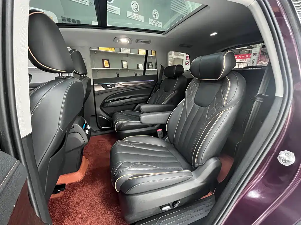Lingyu 2021 EcoBoost 225 Collar Type 6 Seats купить на сайте DeffCars