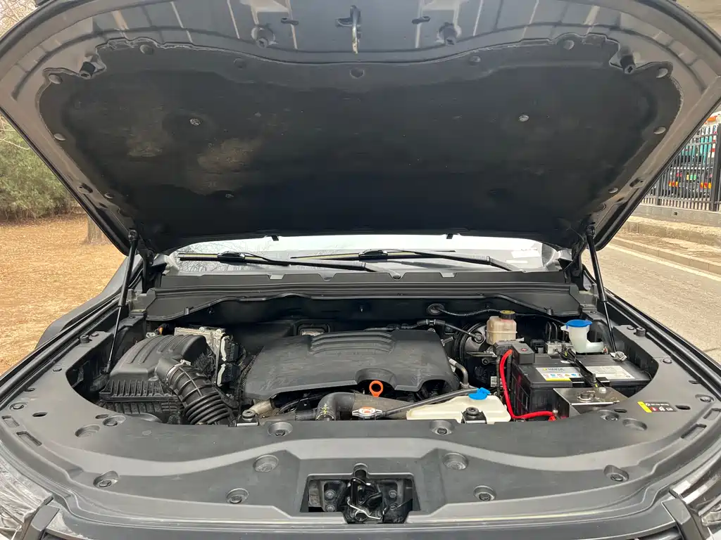 Cannon 2021 2.0T off-road version automatic gasoline four-wheel drive Everest version GW4C20B купить на сайте DeffCars