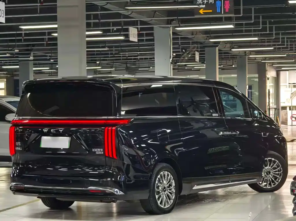 Wei brand Alpine 2023 four-wheel drive executive extended version купить на сайте DeffCars