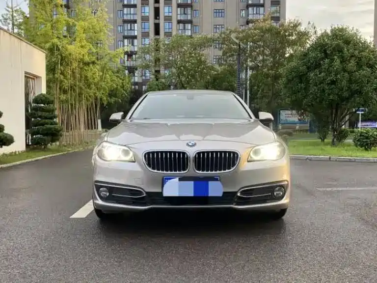 BMW 5 Series 2014 525Li Luxury Design Package купить на сайте DeffCars