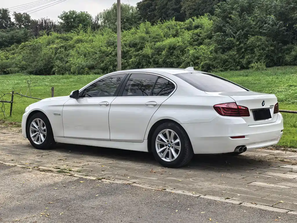 BMW 5 Series (Imported) 2014 520i Elegant купить на сайте DeffCars