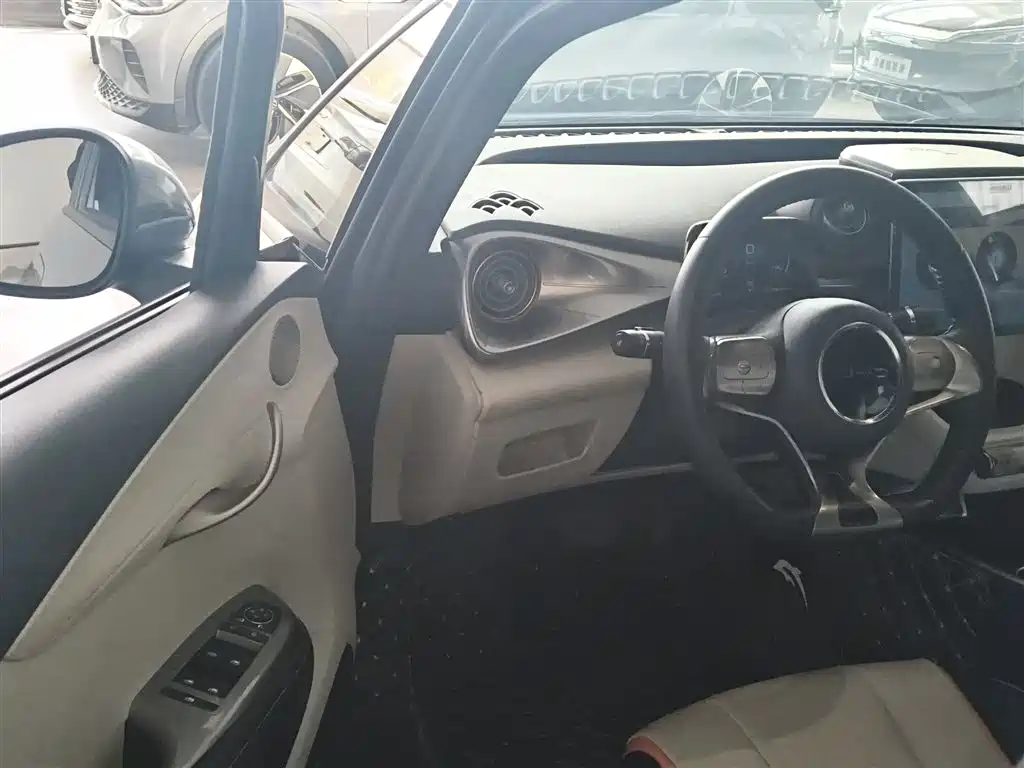 Dolphin 2021 405km Free Edition купить на сайте DeffCars