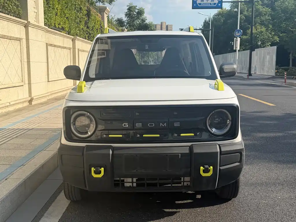 Panda (Geome) 2024 model 200km rider купить на сайте DeffCars