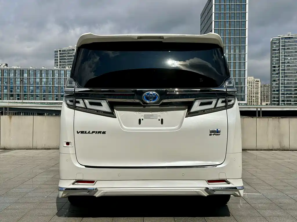 Wilfa 2019 Shuangqing 2.5L HV Deluxe Edition купить на сайте DeffCars
